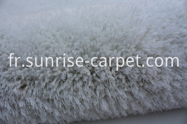 Thick Soft Elastic & Silk Mix Shaggy Rug